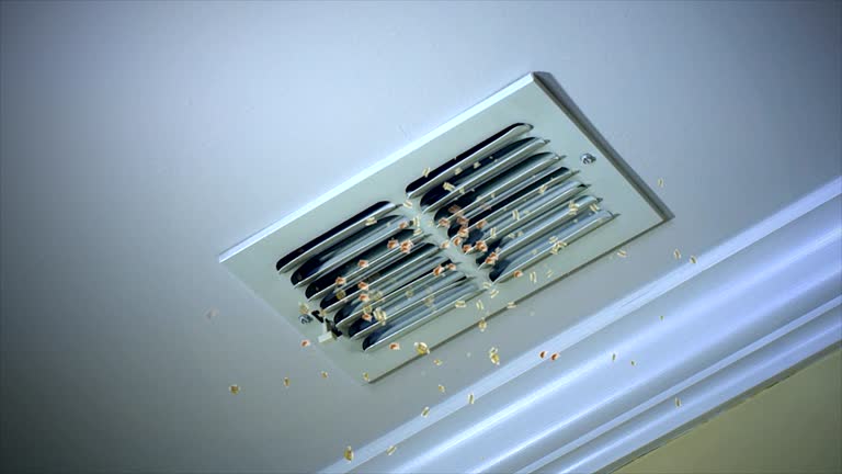 Best Best Air Duct Cleaning Company  in Kaneohe, HI