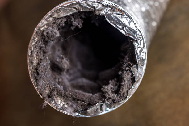 Best Commercial HVAC Duct Cleaning  in Kaneohe, HI